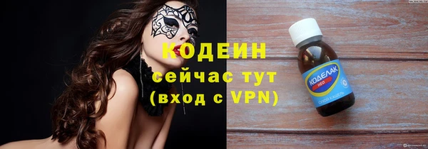 прущий лед Бикин