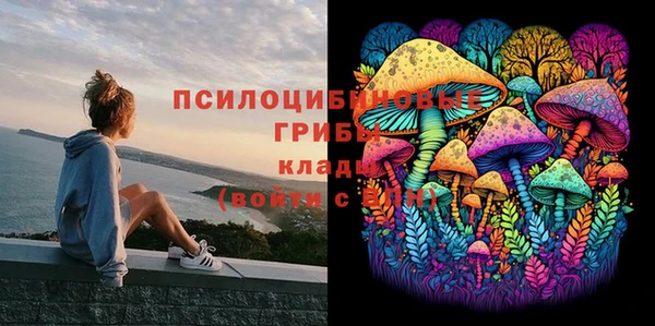 мдма Нефтегорск