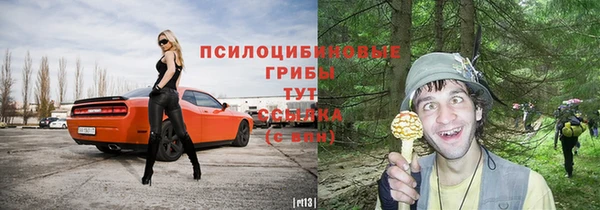 амф Нея