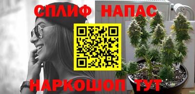 стаф Апшеронск