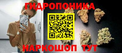 2c-b Аргун